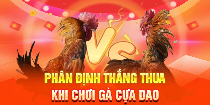 Quy tắc phân định thắng thua khi chơi gà cựa dao